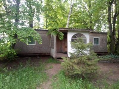 Belaya loshad Tourist base - 26