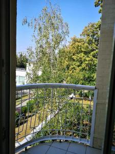 Don (Pjatigorsk) - 31