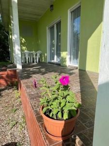 Guest house Karpolov Park - 50