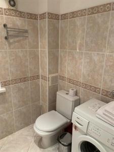 Recreational Complex Bor Pansionat - 288