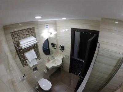 Sanatory Chyvashia curort - 75