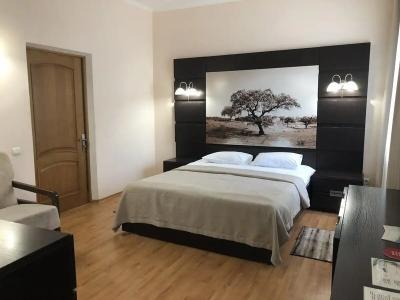 Saki Health Resort - 14