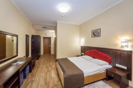 Saki Health Resort - 106