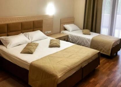 Saki Health Resort - 100