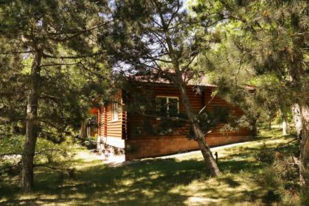 Gostevoi korpus 3 v pansionate " Zolotye peski". Selo Bosteri. Issyk- Kul'. Kyrgyzstan. - 36