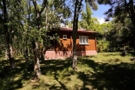 Gostevoi korpus 3 v pansionate " Zolotye peski". Selo Bosteri. Issyk- Kul'. Kyrgyzstan. - 39