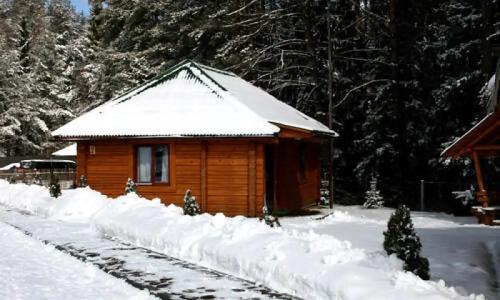 Recreation center Priroda-lyuks - 34