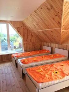 Guest house Mir tsvetov - 13