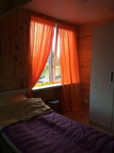 Guest house Mir tsvetov - 19