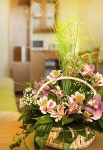 Yurmino Resort & SPA - 225