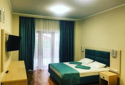 Saki Health Resort - 245