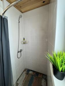 Polyana Solntsa Tourist base - 130