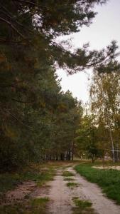 Recreation center Porzamka - 12