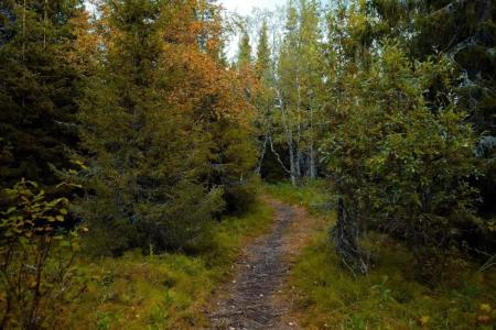 Lesnaya skazka Tourist base - 10
