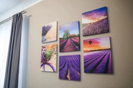 Tsitadel Park-Hotel - 446