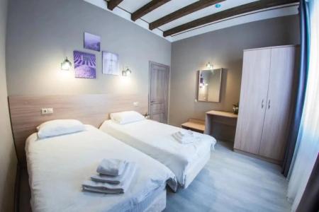 Tsitadel Park-Hotel - 450