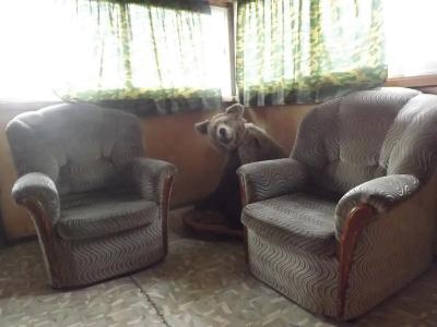 Ivushka Tourist base - 3