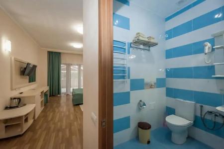 Saki Health Resort - 219