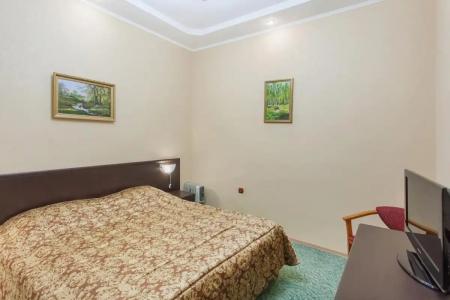 Lermontov Health Resort - 325