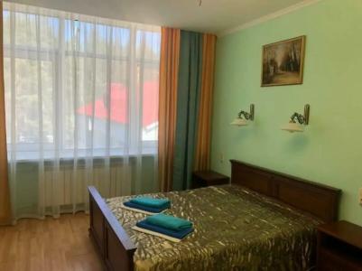 Chebarkulskiy Sanatorium - 18