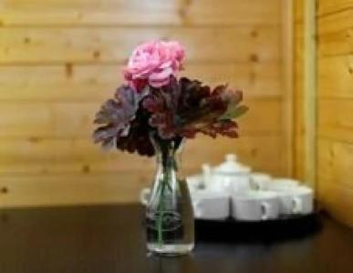 Tsitadel Park-Hotel - 200