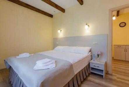 Tsitadel Park-Hotel - 114