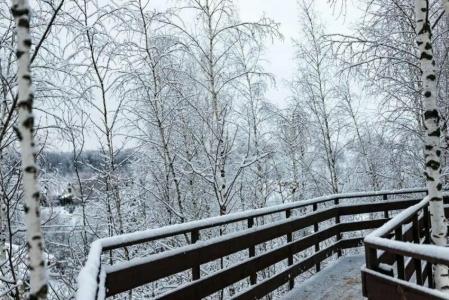 Tsitadel Park-Hotel - 150