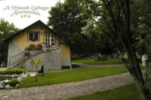 A Mecsek Gyöngye Apartmanhaz, Orfu