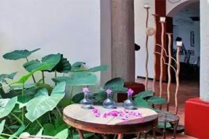 Villa Ana Maria, Oaxaca