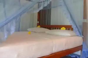 Hotels