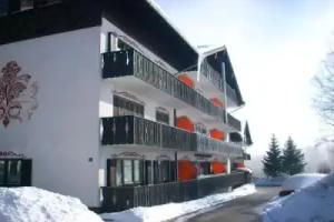 Ferienwohnung Hani Apartments, Spiegelau