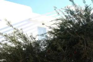 Mykonos Azure Guest house, Platis Yialos Mykonos
