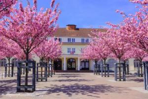 Happytime Apartments, Binz