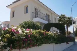 Mandevilla, Pissouri