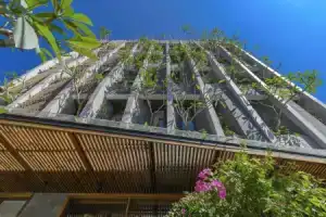 Daisy Boutique Hotel, Da Nang