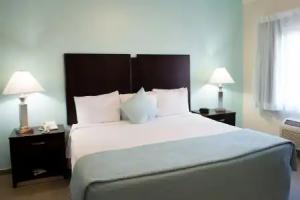 Hotel Sheldon, Hollywood