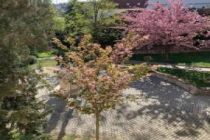 Négy évszak Apartman-, Tapolca