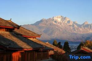 Ananas Valas Mulanjing • Garden Lishe Space Rizhao Jinshan Homestay (Lijiang Ancient City Branch), Lijiang