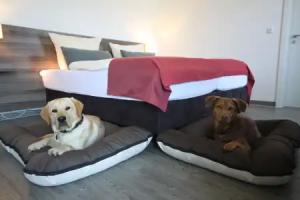 Hotel Mein Bergblick, Hahnenklee-Bockswiese