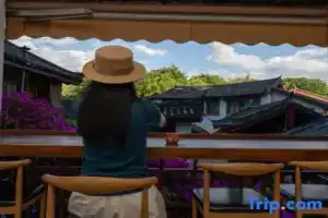 Miaoyuan · Shanqu Pavilion | Light Luxury Garden Accommodation (Lijiang Ancient City South Gate ) Cottage, Lijiang