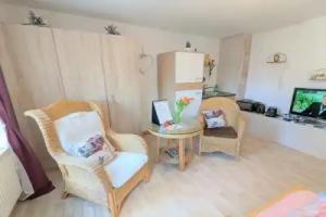 Flussblickwohnung mit Terrasse, Pool, Garten&Sauna - Zi2 Hotel, Sebnitz