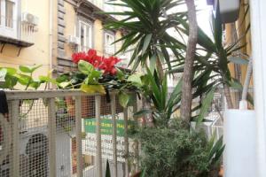 Bed & Breakfast Plebiscito Home, Naples