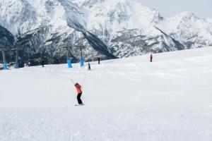 Wolf & Deer Apartment Ski-in Ski-out 250m, Sestriere