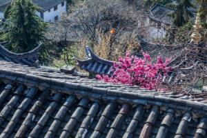 Blooming Island Banshan Yuan Hotel, Lijiang