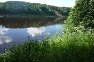 Zhemchuzhina Suhony, Nyuksenitsa