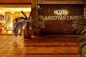Hotel Spa Flamboyan - Caribe, Magaluf