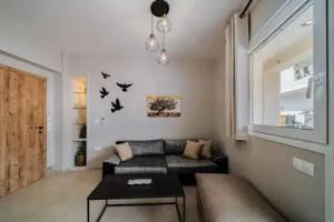 Napoleon Olive Home 2bd 1ba Apartments, Malia