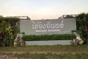 Ing Chan Farm /ไร่อิงจันทร์, Mae Salong Nai