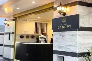 Sunny Canopy B&B Hotel, Hulhumale