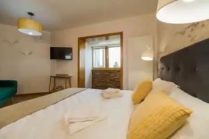 Zen Alpin Studio, Brasov